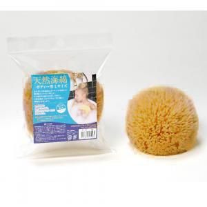 ŷ�����ʥܥǥ����� L����������12cm��������ȩ����ꥨ���������ϥ˥����