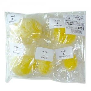 �ڶ�̳�ѡ�ŷ�����ʥ��륯 ��� 5���������åȡ�4cm�������9cm��