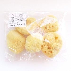 ŷ�����ʥ��륯�������ꥵ����8����7��8cm 5������<img class='new_mark_img2' src='https://img.shop-pro.jp/img/new/icons31.gif' style='border:none;display:inline;margin:0px;padding:0px;width:auto;' />