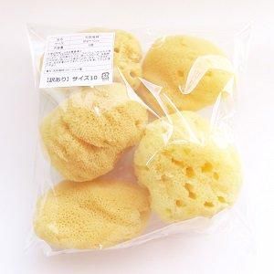 ŷ�����ʥ��륯�������ꥵ����10����9��10cm 5������<img class='new_mark_img2' src='https://img.shop-pro.jp/img/new/icons31.gif' style='border:none;display:inline;margin:0px;padding:0px;width:auto;' />