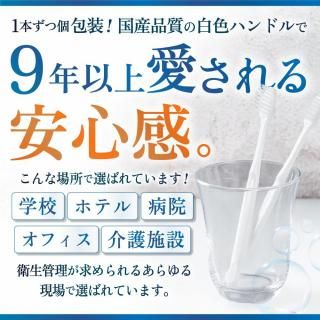 【バラ売り】業務用使い捨て歯ブラシ【粉なし】100本入り