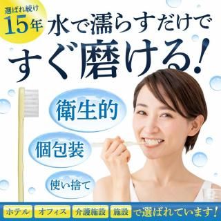 インスタントハブラシ【粉付き】アソート 4000本入り【500本×8箱】