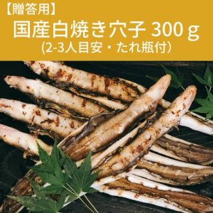 £ þ úƤ 4-7 300g ҤΤ 2-3 鲽Ȣ
