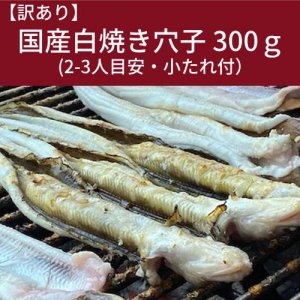  úƤ Ǿ 5-11 300g 죱 2-3 ̵