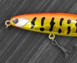 TYGAN90 BONE <br>
Orange Cachara