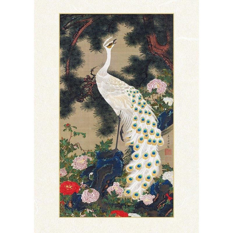 動植綵絵 | 老松孔雀図 - ROSSO GRAFICO