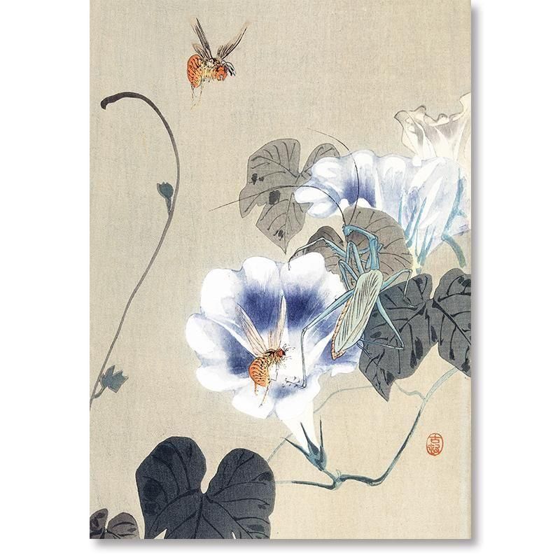 蜂と蟷螂 | 自然界の宿命 - ROSSO GRAFICO