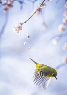 BlueCover（ブルーカバー）公式オンラインストア｜アート作品の