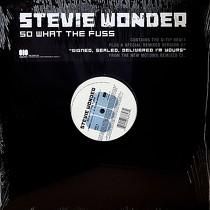 STEVIE WONDER  ft. Q-TIP  SO WHAT THE FUSS