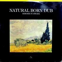 HIROSHI FUJIWARA  NATURAL BORN DUB  / SWEET VIBRATIONS