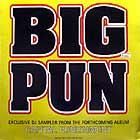 BIG PUNISHER  CAPITAL PUNISHMENT  (ALBUM SAMPLER)