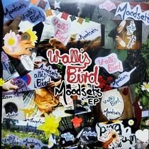 WALLIS BIRD  MOODSETS EP