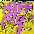 WORLD CLASS WRECKIN' CRU  HOUSE FLY  / THE FLY