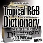 DJ DDT-TROPICANA  Tropical R&B Dictionary -WHITE EDITION-  New Jack Swing Flavor R&B Best! Part.2
