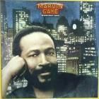 MARVIN GAYE  MIDNIGHT LOVE