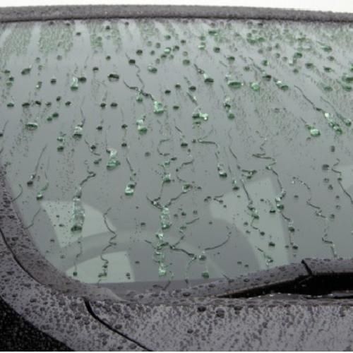 ̾ŲΥƥ󥰡ʥ饹ƥ󥰡ˡƥŹ Clevers ̾Ų륬饹ƥ