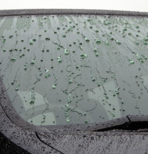 ̾ŲΥƥ󥰡ʥ饹ƥ󥰡ˡƥŹ Clevers ̾Ų륬饹ƥ