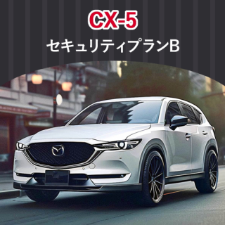 Grgo ZVII åȡ CX-5 ƥץB