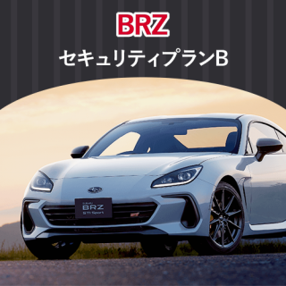 CLIFFORD 480J åȡ BRZ ƥץB