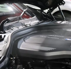 ̾ŲΥƥ󥰡ʥ饹ƥ󥰡ˡƥŹ Clevers ̾Ų