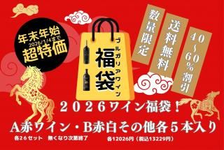 2026ʡ�� 5�ܥ��å�  ǯ�˰��٤�Ķ���㤤�� 40��60����ʬ�Υ磻�����äƤޤ� �����֥륬�ꥢ�磻�� ����̵�� ���̸��� ���ָ��� ���ꤹ����Υ磻���ͤ����������ʥ��ץ饤���ξ��ʲ���