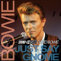 David Bowie(ǥåɡܥ)/JUST SAY GNOME 2CD