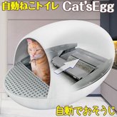 ưͤȥ ǭγڡޥ  Cat'sEgg ۥۥ磻