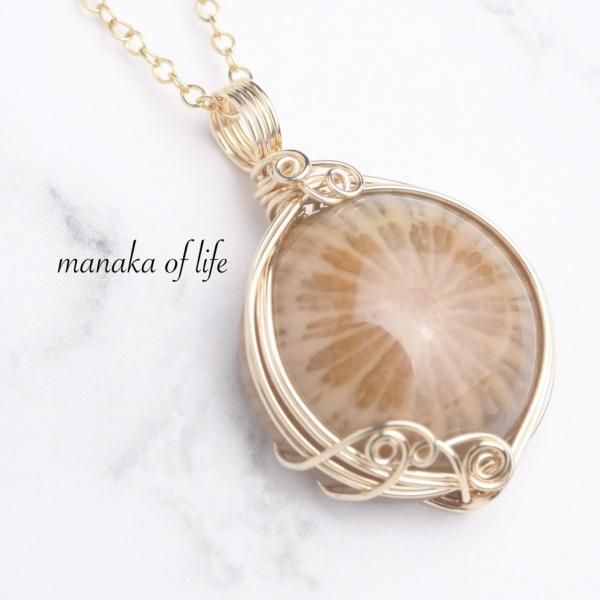 եå륳 ڥȥȥå 磻䡼åԥ 14kgf ŷ ͥå쥹