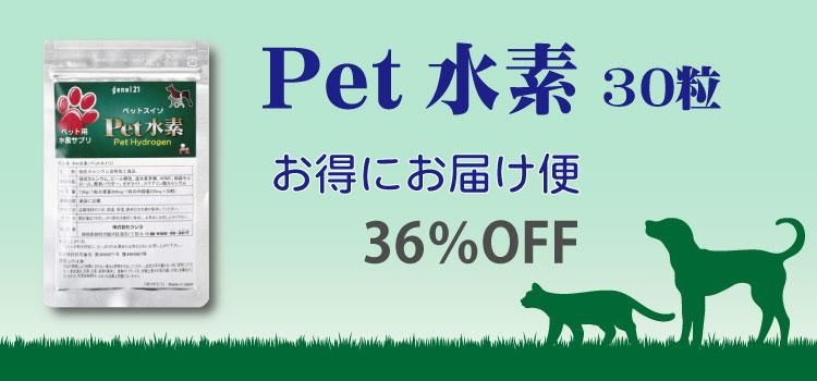 Pet