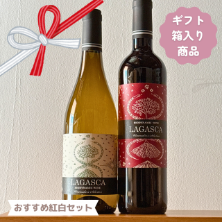 £ʪˤᡪۥڥ磻ܥåȡʥեȢ
