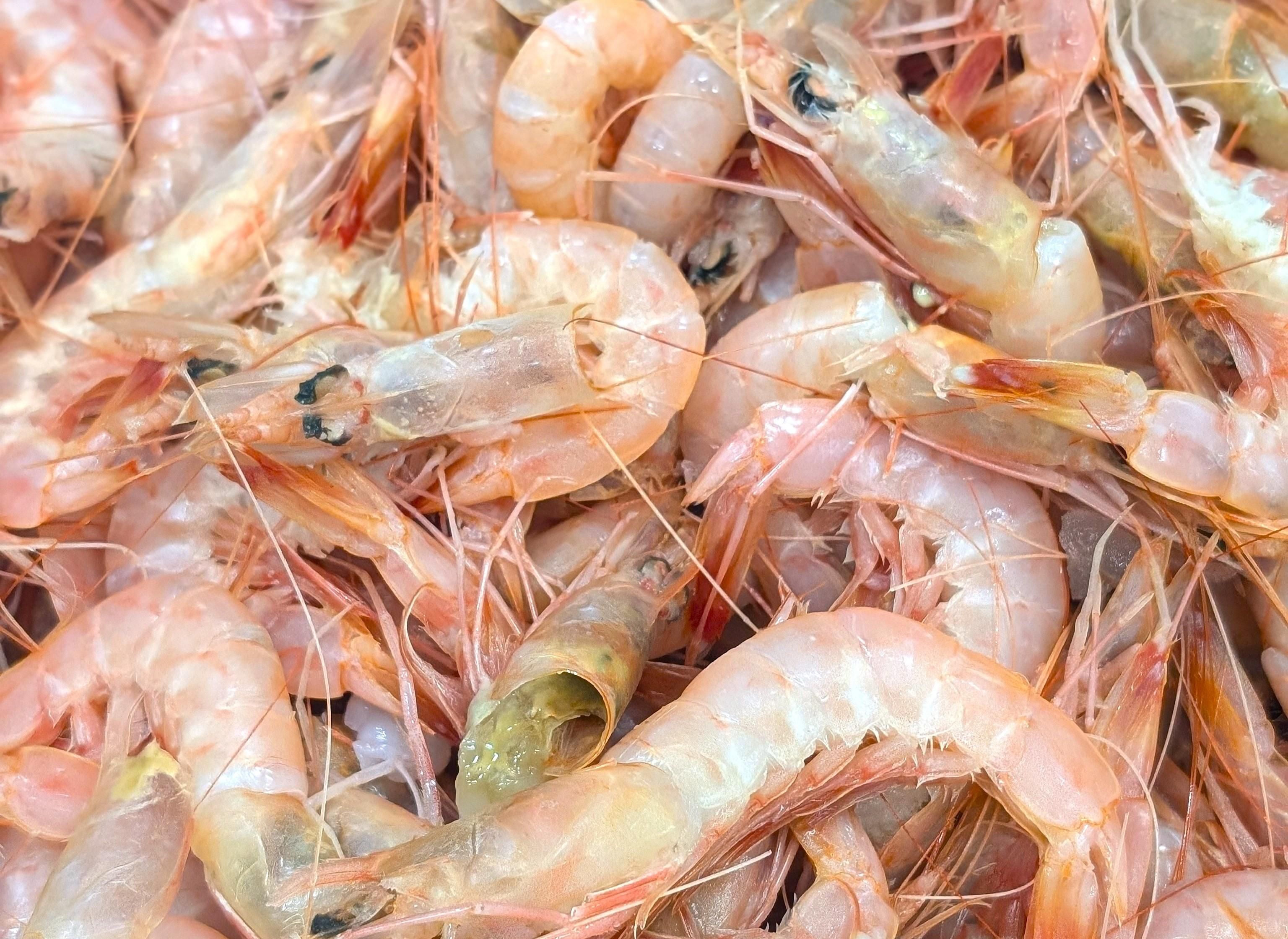 幻のエビを丸ごと100％贅沢に使用したスープ｜三重県産がすえびの濃厚