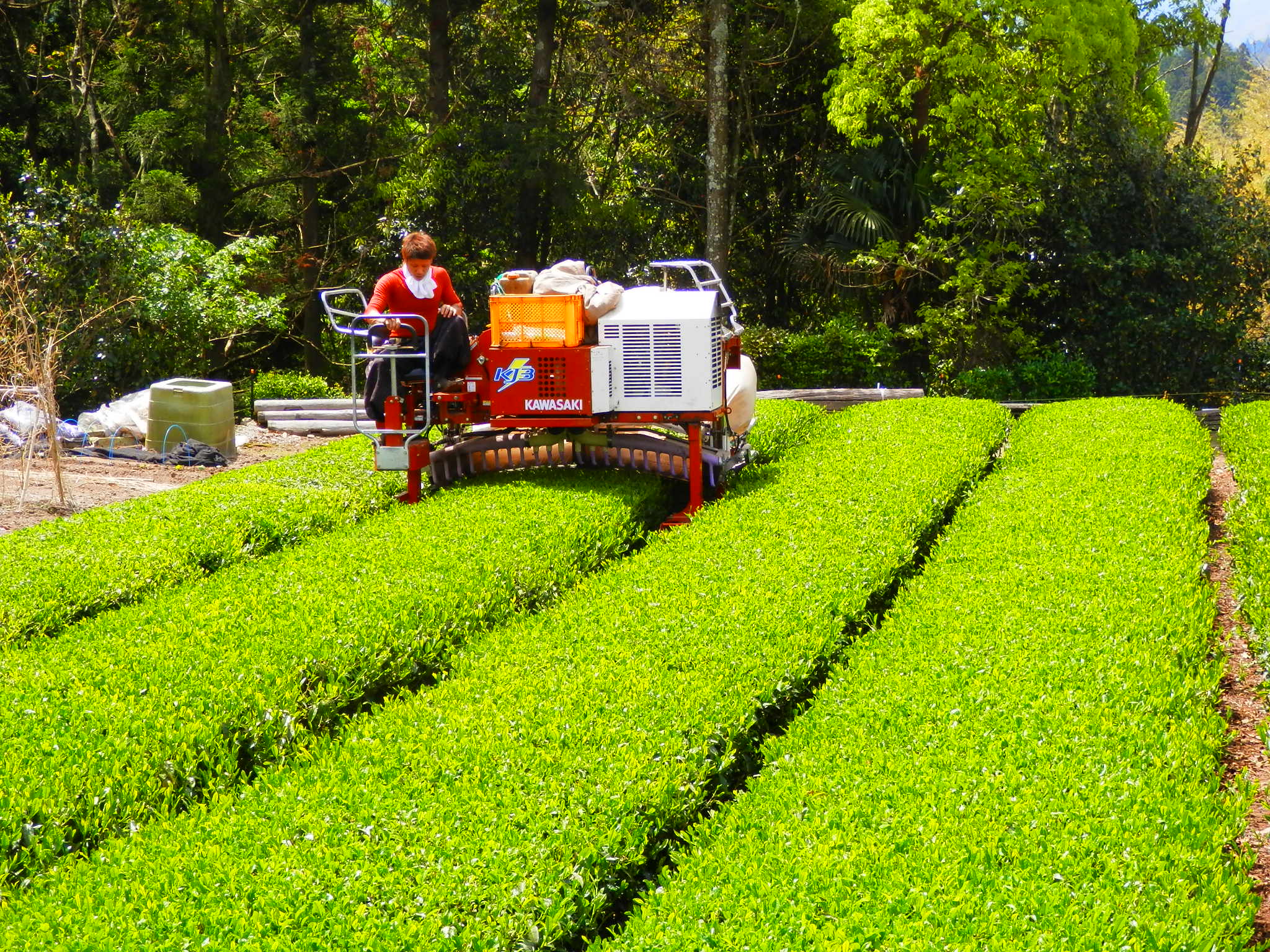 セーフティリファーム88