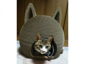 段ボール 猫ちぐら | おしゃれな猫用ハウス - 段屋風月