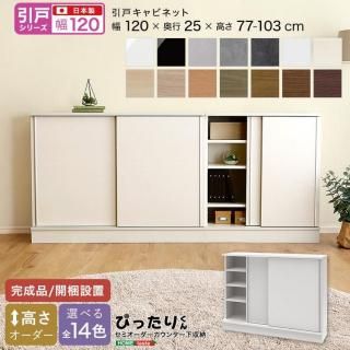 ڰͥ꡼ۥߥ󥿡ǼԤä꤯ ӥͥå 120cm߱25cm̵ HT