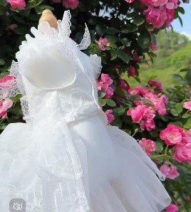 【超美品】ペット用　ロングドレス　サイズＳ ANGEL R PREMIUM/エンジェルアールプレミアム】スパンコール刺繍