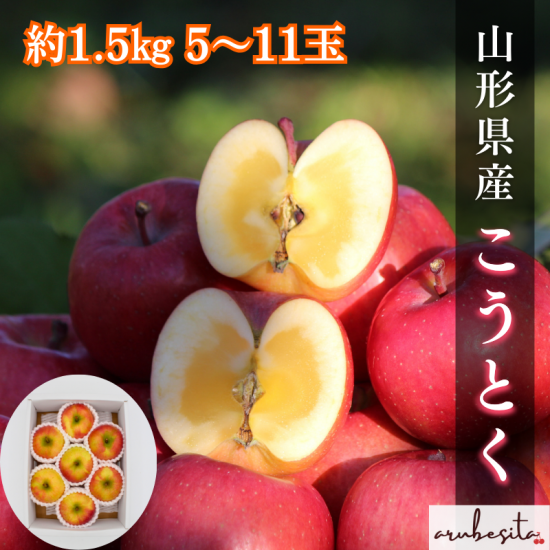 予約□山形県産りんご「こうとく 」 約1.5kg 5～11玉 11月上旬～