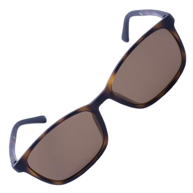 󥰥饹 (侮դĤ) EVERNEVER  и ե졼ࡧ֥饦ޡ֥롿󥺡֥饦EV-004-SG-C4-DARKBROWN