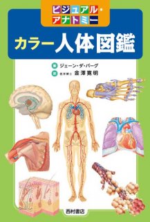 カラー人体解剖学 構造と機能：ミクロからマクロまで - 西村書店