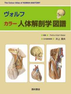 ヴォルフ カラー人体解剖学図譜 - 西村書店