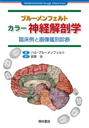 ブルーメンフェルト　カラー神経解剖学　-臨床例と画像鑑別診断- - 西村書店