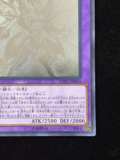 �����С��������å��ɥ饴��(H