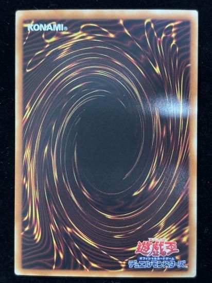 �����С��������å��ɥ饴��(H