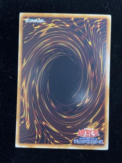 �ѥ�ġ���ɥ饴��(HR)(