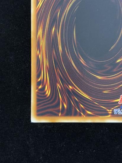 �ѥ�ġ���ɥ饴��(HR)(