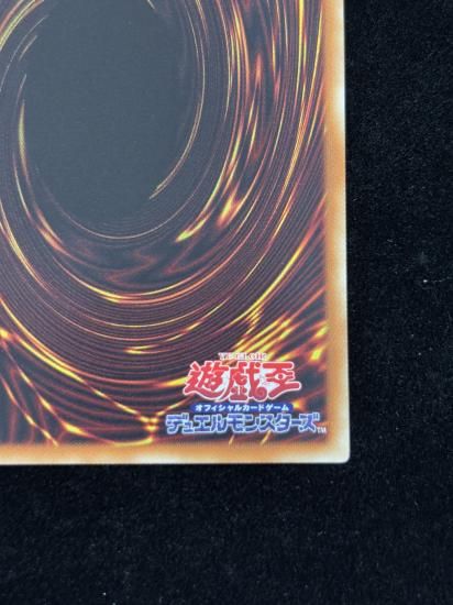 �֥롼������������MAX�ɥ饴