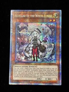 ASTELLAR OF THE WHITE FOREST(INFO-AE013)(QCSE)(�������Ѹ�)RakA