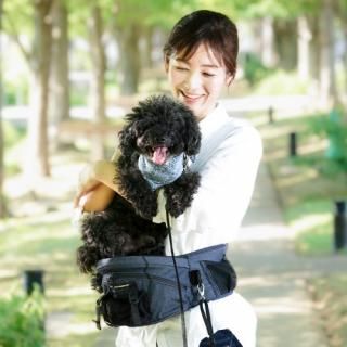Dog Carrier(ɥåꥢΤξʲ