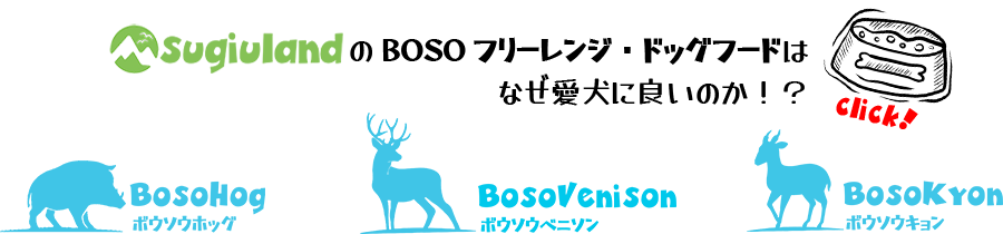 BOSOե꡼󥸡ɥåաɤα