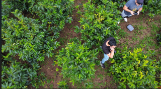 ̸ꡪ100gQIMAINFUSED & CO-FERMENTATIONSBLACKBERRY JAZZޥҡե塼ɡ꡼֥å٥꡼㥺ξʲ