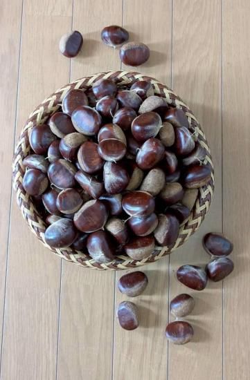 Ի1kgܤΤҤʤ꤫ܺηϤ